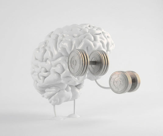 BRAIN WORKOUTS
