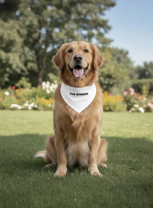 PawPlay Adjustable Bandana Collar