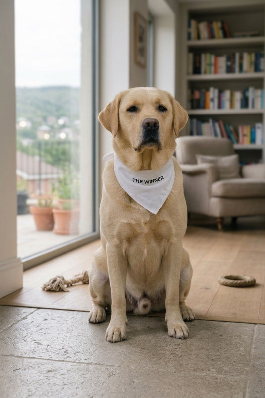 Adjustable Dog Bandana Collar - Soft Pet Collar